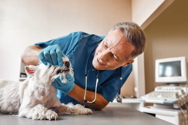 Best Tooth Pain Emergency Relief  in Lake Mary Jane, FL